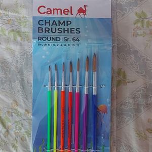 CAMEL ROUND BRUSHES - NEVER USED