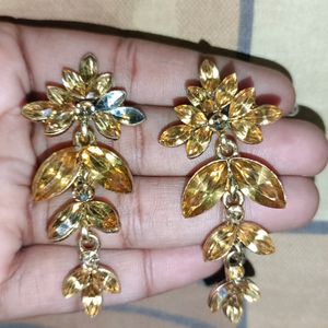 Beutiful Earring