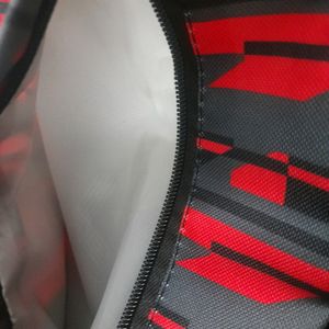 Skybags Backpack