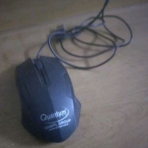 Quantum Wired Mouse