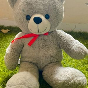 Taddy Bear Soft Toy