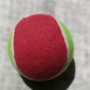 Cricket Ball New With Tag