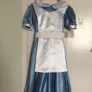 Alice In Wonderland Costume