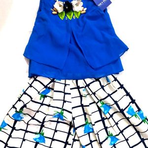 Top And Bottom Party Wear Set ( Girls )