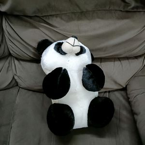 Cute Panda Softy