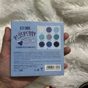 Blueberry Eye Shadow Palette 💙