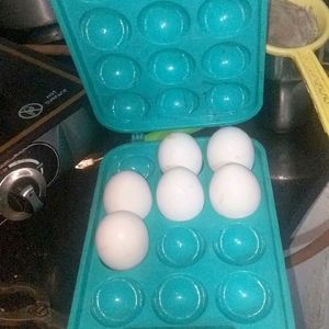 Egg Tray