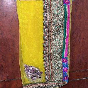 Colourful Lehenga Choli