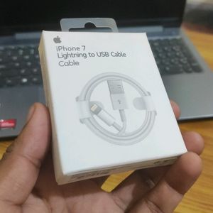 White Apple Lightning To USB Cable For Mobile