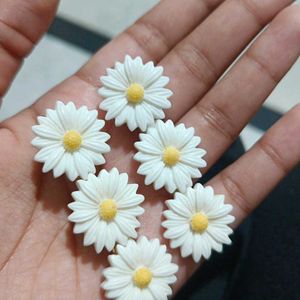 Beautiful Flower Clips