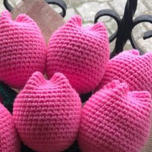 Crochet TULIPS 🌷