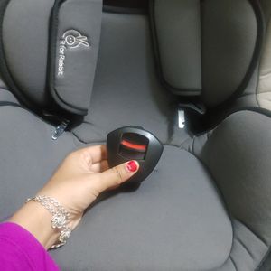 R For rabbit Car Seat