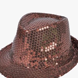 Sequin Brown Cap