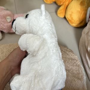 Cute Polar Bear Soft Toy