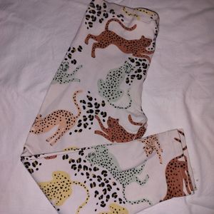 Animal Print Legging