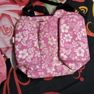 Combo Of 2 Used Hand Bag