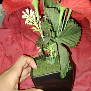 Artificial Anthurium Red Flower With Pot