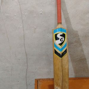 Best' Bat Of Playing Cricket And Fighting