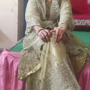 Expensive Updown Lehenga