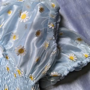 Daisy Blue Top