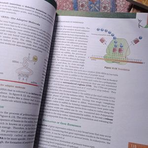 Biology NCERT Class 12 Textbook