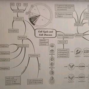 Biology Help Book