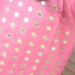 Pink Embellished Straight Kurta,Has A Mandarin Collar, Sleeveless,Side Slits, Straight Hem..