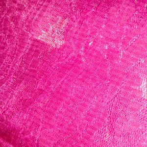 Pink Netted Saree