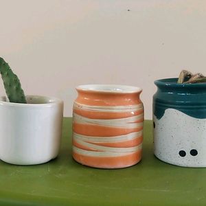 Cute Sculent Pot Combo