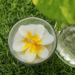 Plumeria Scented Shot Glass Candle(Set Of 2)