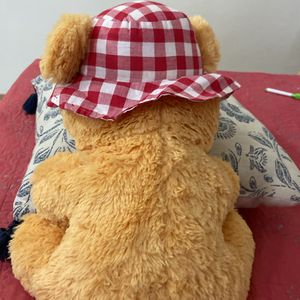 Teddy Bear Soft Toy