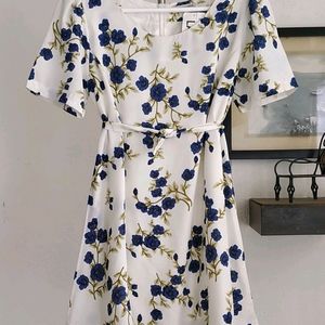 Blueberries Floral Printed Mini Dress