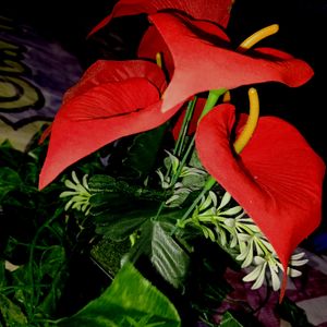 Artificial Anthurium Red Flower With Pot