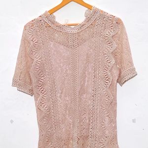 VANSA Lace Short Sleeves Top