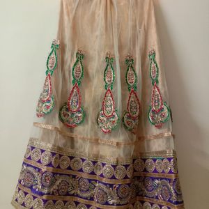 Lagenga Choli For Women