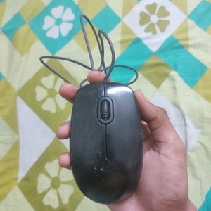 mouse