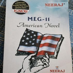 American Novel