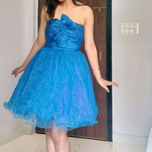 Barbie Organza Fabric Beautiful Flowy Short Dress