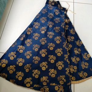 Blue Traditional Wear Choli Skirt