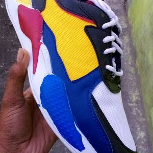 Stylish Multicolor Shoe For Men