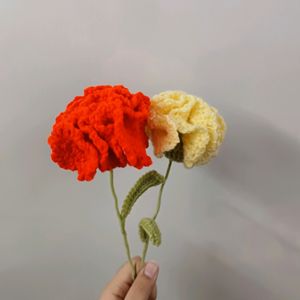 Cute Crochet Carnation Flowers 💐✨️