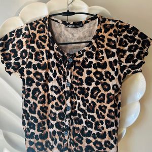 Animal Print Crop Top