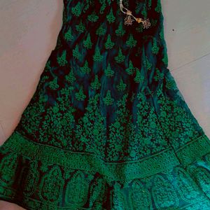 Green 💚 Net Embroidery Lehenga Blouse Dupatta