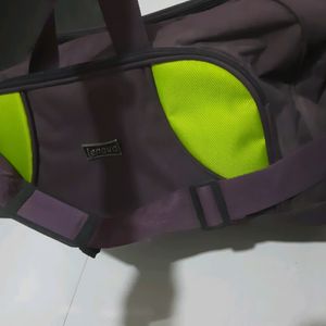 Traveling Bag