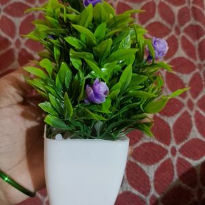 Beutyfull 😍 Artificial Flower Plant