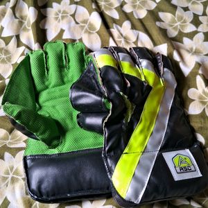 A Most Comfortable Wicket Keeping Gloves