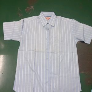 Blue Striped Shirt (XL/ 42 INCHES)