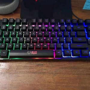 Eva Fox Gaming RGB Keyboard With Mouse