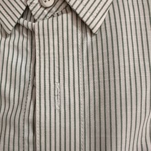 Striped Olive Lines On White Full Sleeve Shirt