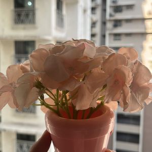 Beautiful Pink Flower Pot